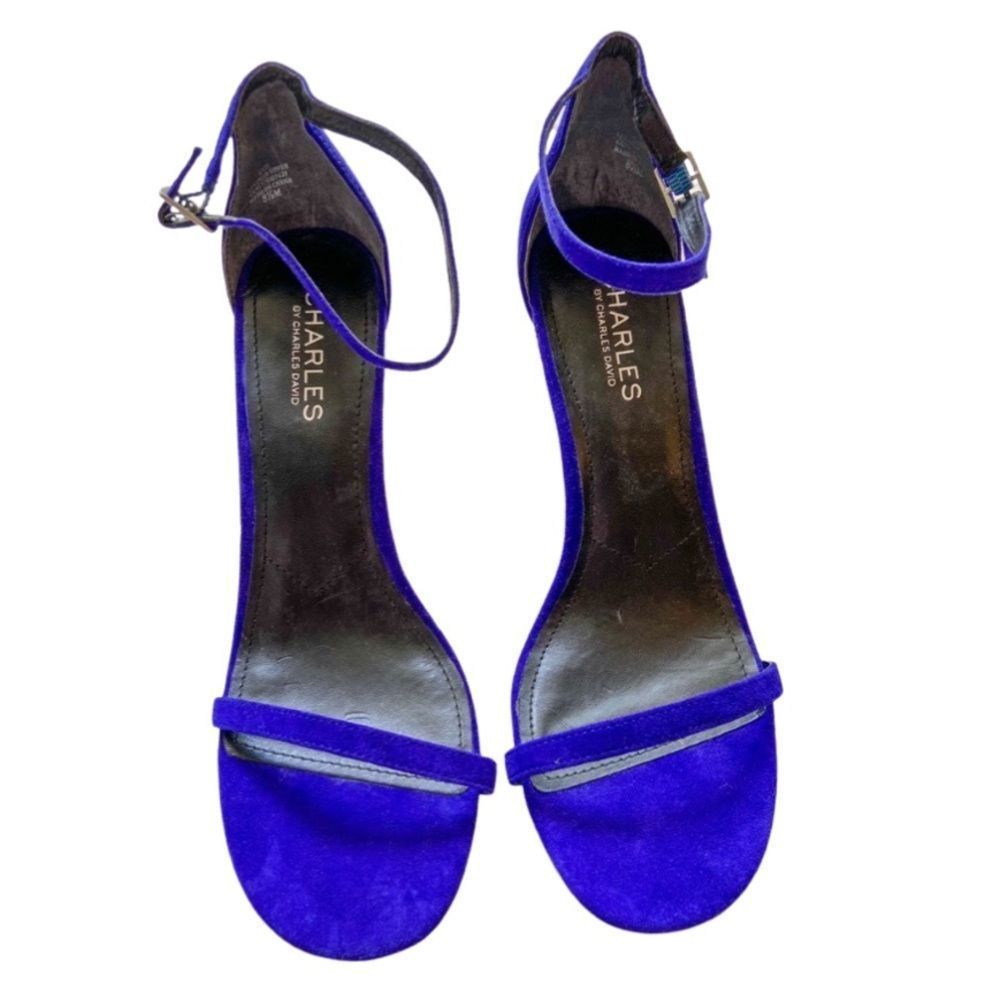 NWT Charles David Rebel Sandal